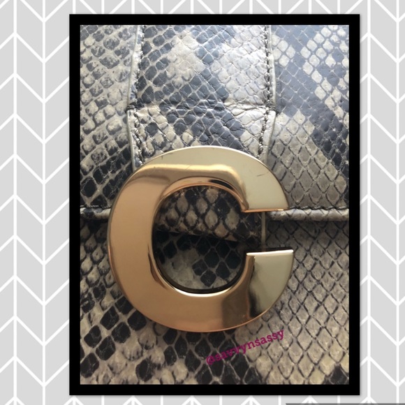 C. Wonder Clutch/Crossbody - Picture 5 of 5